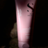Moisture Nutritive Leave-in Conditioner თმის დამარბილებელი უთხვალი კონდიციონერი მშრალი თმისთვის, 200 მლ