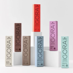 Schwarzkopf Professional Igora Royal Permanent თმის საღებავი 6-99 60მლ