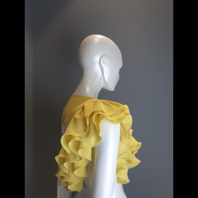 Decorative collar