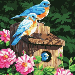 Painting by numbers "Birds"