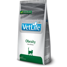 VETLIFE OBESITY CAT
